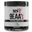 MST 9EAAs �������� ���������� 9EAAs