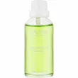 �ֲ��� Gaston Minty Concentrate Cooling Oil 50ml
