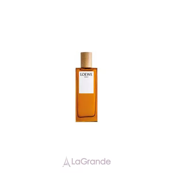 Loewe  Solo Loewe ��������� ���� (������)
