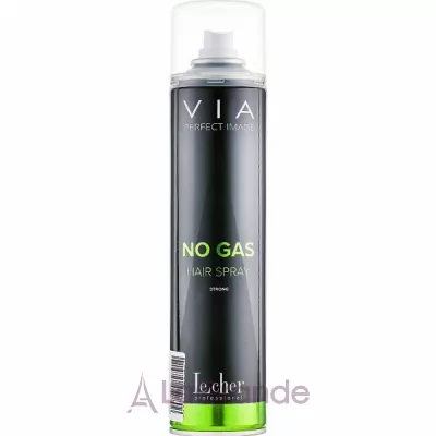 Le Cher VIA Spray & Go No Gas Hair Spray Strong        