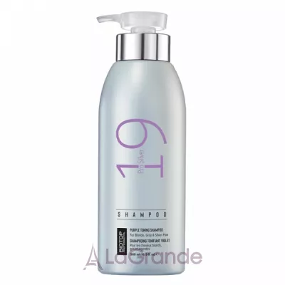 Biotop Professional 19 Pro Silver Shampoo     