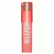 Technic Cosmetics Glowy Blusher Stick '-  