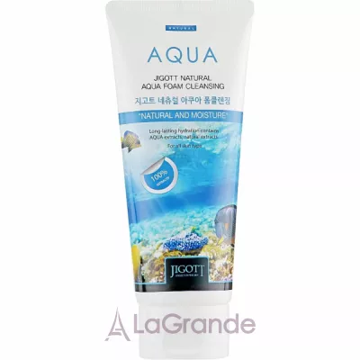 Jigott Natural Aqua Foam Cleansing ϳ    
