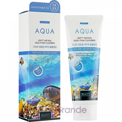Jigott Natural Aqua Foam Cleansing ϳ    