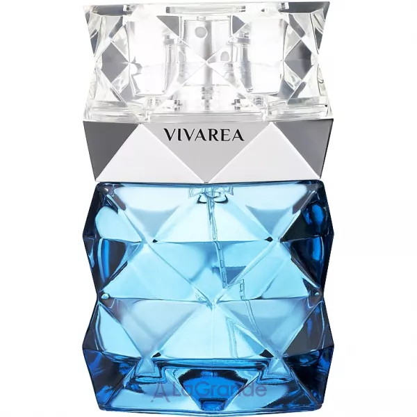 Vivarea Diamond Pour Homme ��������� ���� (������)