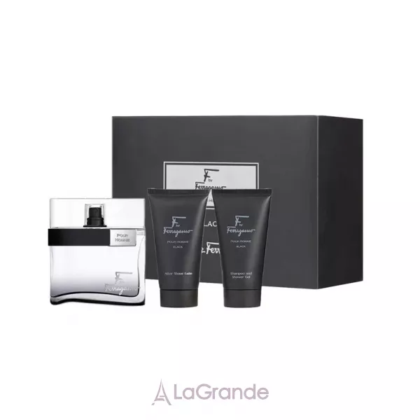 Salvatore Ferragamo F by Ferragamo Pour Homme ����� (��������� ���� 100 �� + ���� ��� ���� 75 �� + ������� ����� ������ 75 ��)