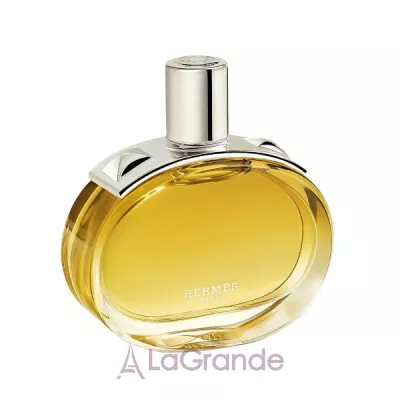 Hermes Barenia Intense  