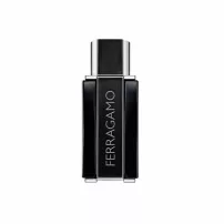 Salvatore Ferragamo Ferragamo Sublime Leather ��������������� ���� (������)