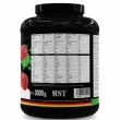 MST Best Mass Gainer Strawberry  