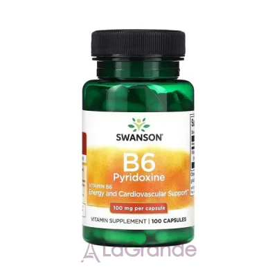 Swanson Vitamin B6 (Pyridoxine) 100 mg   