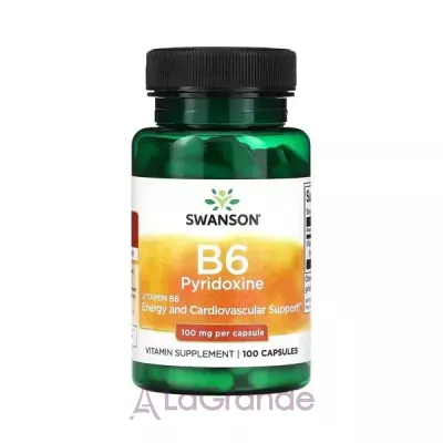 Swanson Vitamin B6 (Pyridoxine) 100 mg   