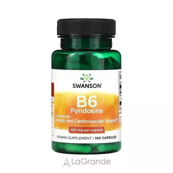 Swanson Vitamin B6 (Pyridoxine) 100 mg ĳ������ ������� 