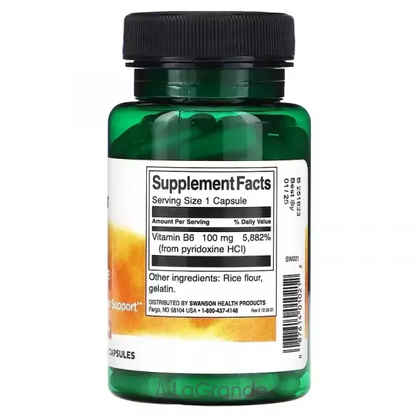 Swanson Vitamin B6 (Pyridoxine) 100 mg ĳ������ ������� 