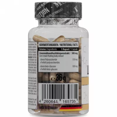 MST Lion's Mane 500 mg   