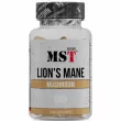 MST Lion's Mane 500 mg   