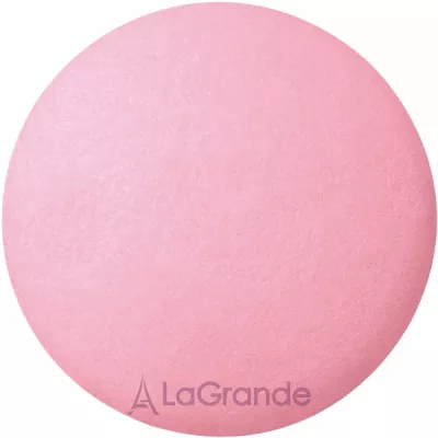 Bourjois Pastel Joues ������