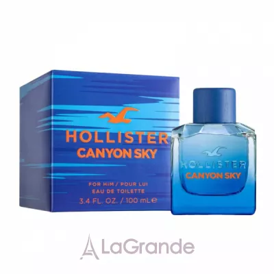 Hollister Canyon Sky For Him ��������� ����