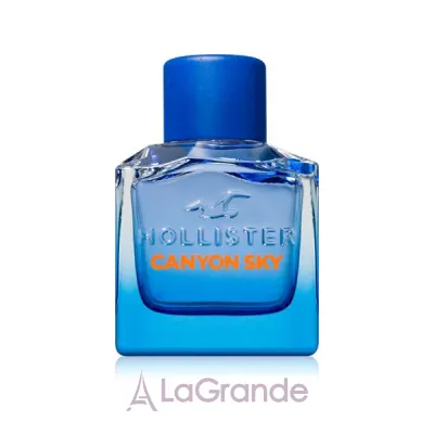 Hollister Canyon Sky For Him ��������� ����