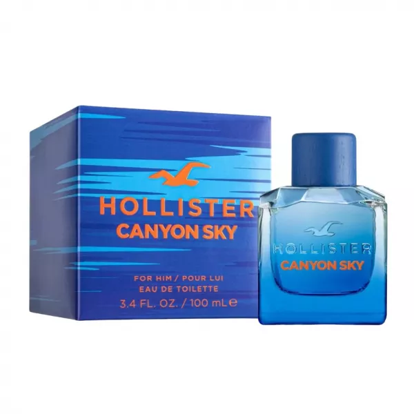 Hollister Canyon Sky For Him ��������� ����