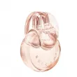 Bvlgari Omnia Crystalline Eau de Parfum ����������� ����