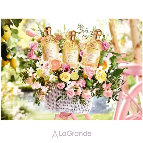 Guerlain Aqua Allegoria Bergamote Calabria �������� ����