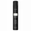 Alter Ego Stylego Finish Air Volume 500ml