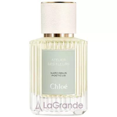 Chloe Atelier des Fleurs Narcissus Poeticus ��������������� ����