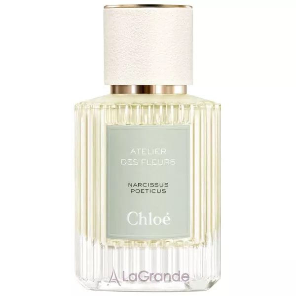 Chloe Atelier des Fleurs Narcissus Poeticus ��������������� ����