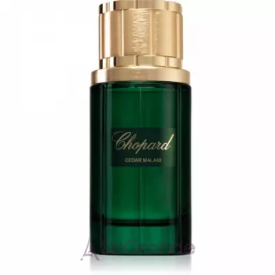 Chopard Cedar Malaki ����������� ����