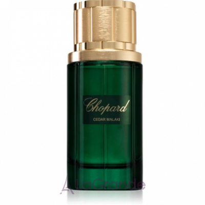 Chopard Cedar Malaki ��������������� ���� (������)