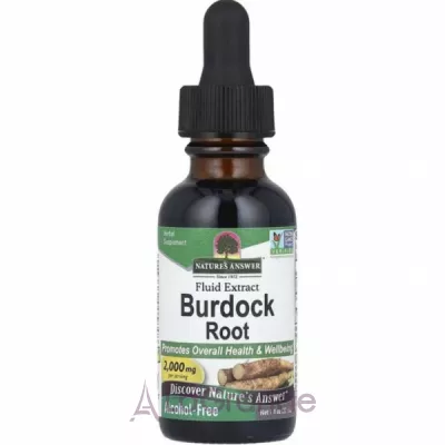 Nature's Answer Burdock Root ĳ������ ������� 
