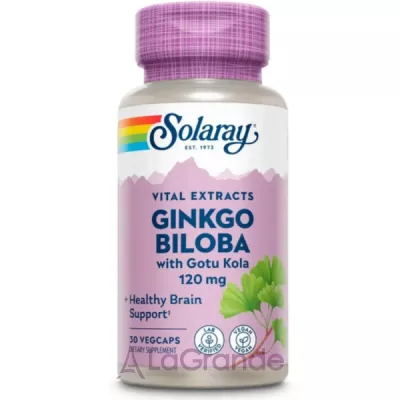 Solaray Ginkgo Biloba Extract One 120 mg ����������� ������� 