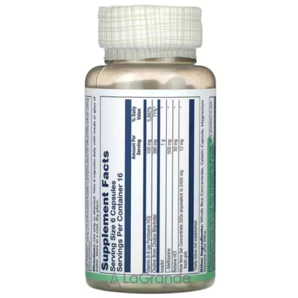 Solaray Lipotropic 1000 Plus ����������� ������� 