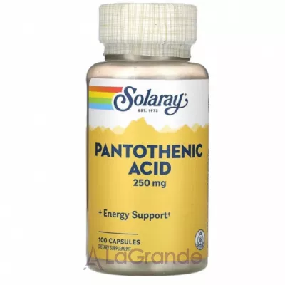 Solaray Pantothenic Acid 250 mg ����������� ������� 