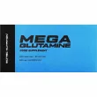 Scitec Nutrition Mega Glutamine ������������ 