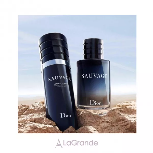 Christian Dior Sauvage Very Cool Spray �������� ���� (������)