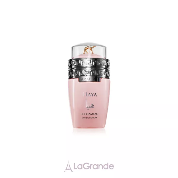 Le Chameau Arabia Haya ��������������� ����