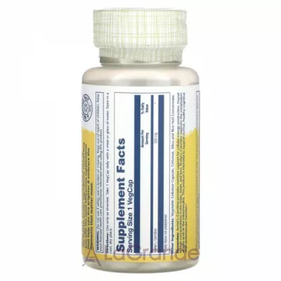 Solaray Acetyl L-Carnitine 500 mg ����������� ������� 