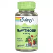 Solaray True Herbs Hawthorn 1050 mg ����������� ������� 