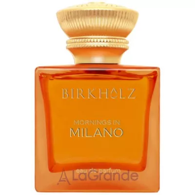 Birkholz Mornings In Milano ����������� ���� (������)