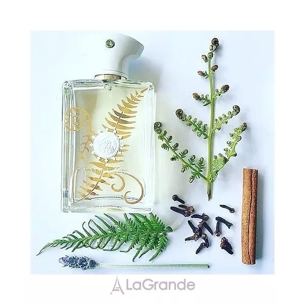 Amouage Bracken Man ����������� ����