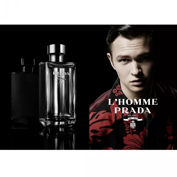 Prada L'Homme Prada �������� ���� (������)