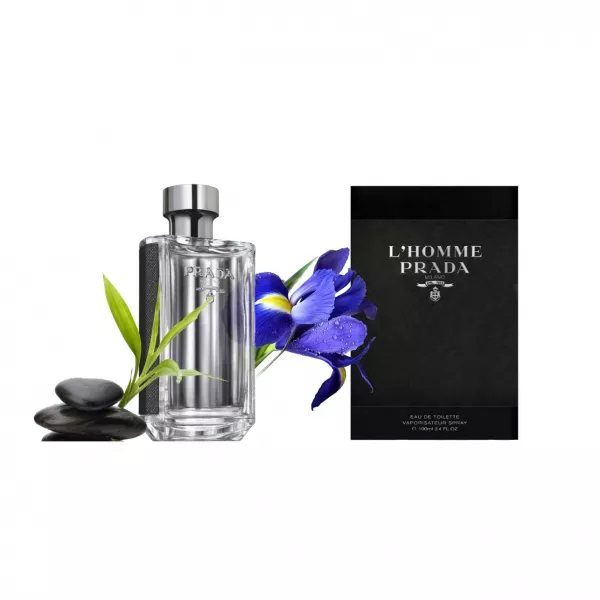 Prada L'Homme Prada �������� ���� (������)