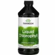 Swanson Liquid Chlorophyll 100 mg ĳ������ ������� 