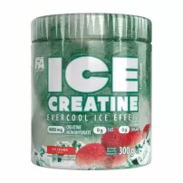 Fitness Authority Ice Creatine Icy Lychee ������� "����"