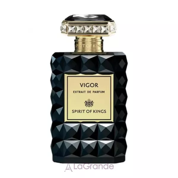 Spirit Of Kings Vigor ����