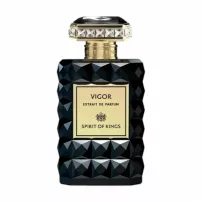 Spirit Of Kings Vigor ���� (������)