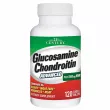 21st Century Glucosamine Chondroitin Advanced plus MSM ����������� ������� 