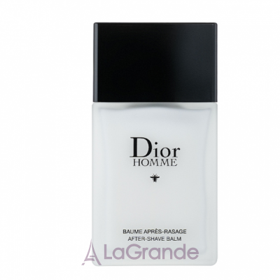 Christian Dior Dior Homme 2020 ������� ����� ������ (������)