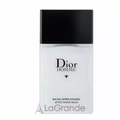 Christian Dior Dior Homme 2020 ������� ����� ������ (������)